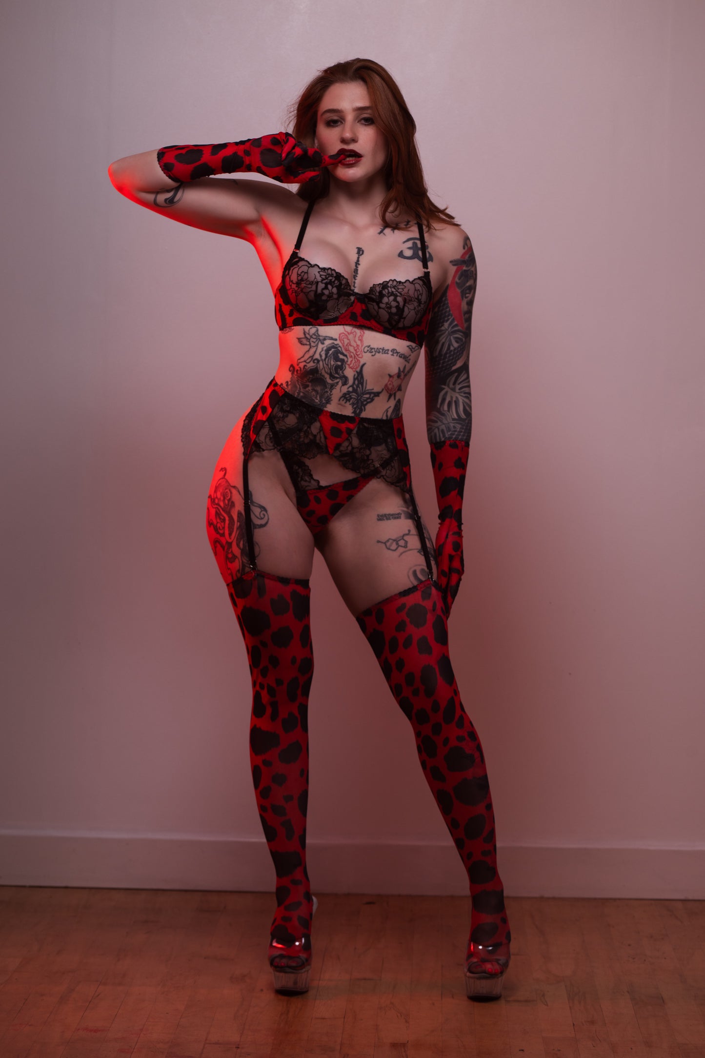 Black dahlia