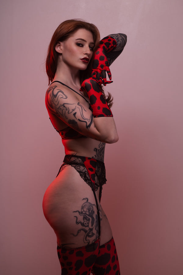Black dahlia